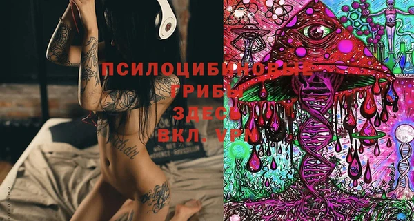 тгк Балахна